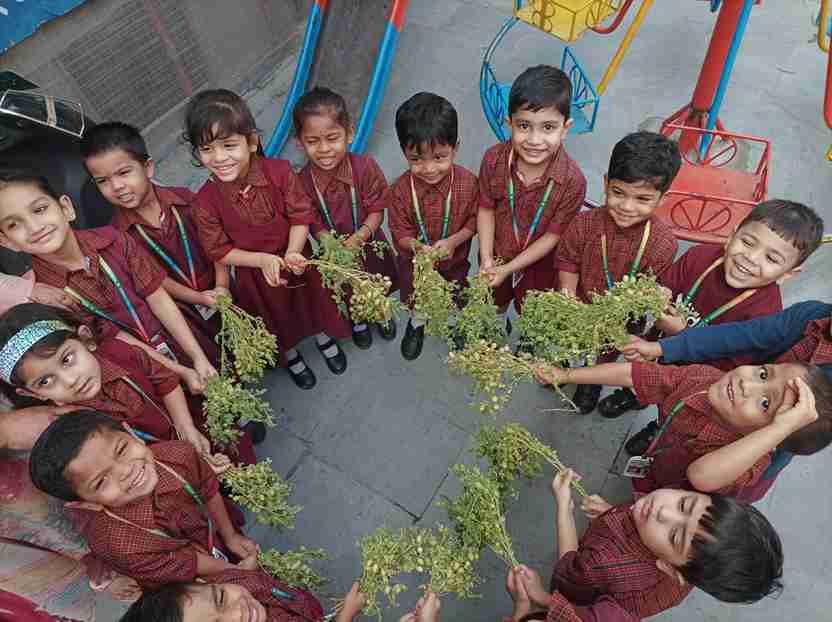 A Seasonal Delight to Savor! 